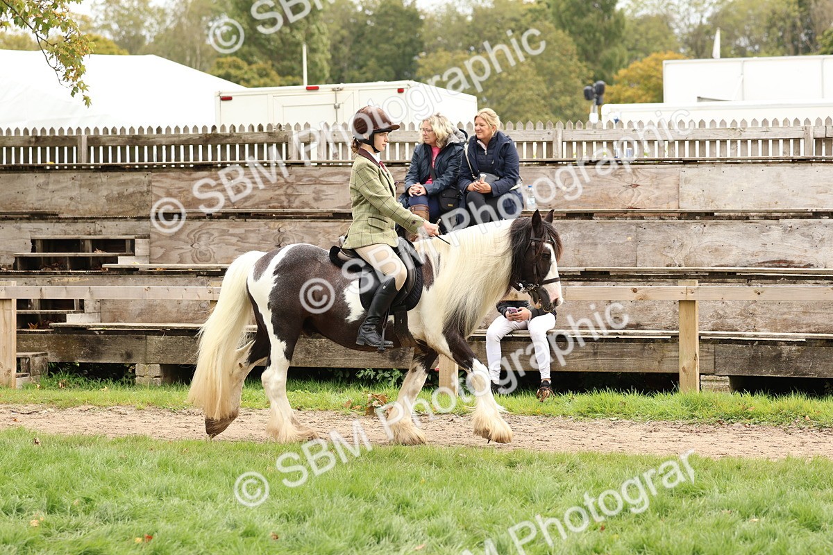 SBM_64382 - S58 - Coloured Pony Ridden
