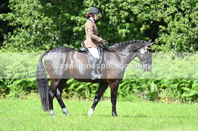 WJ7_1043 - Class 11 Condition & Turnout