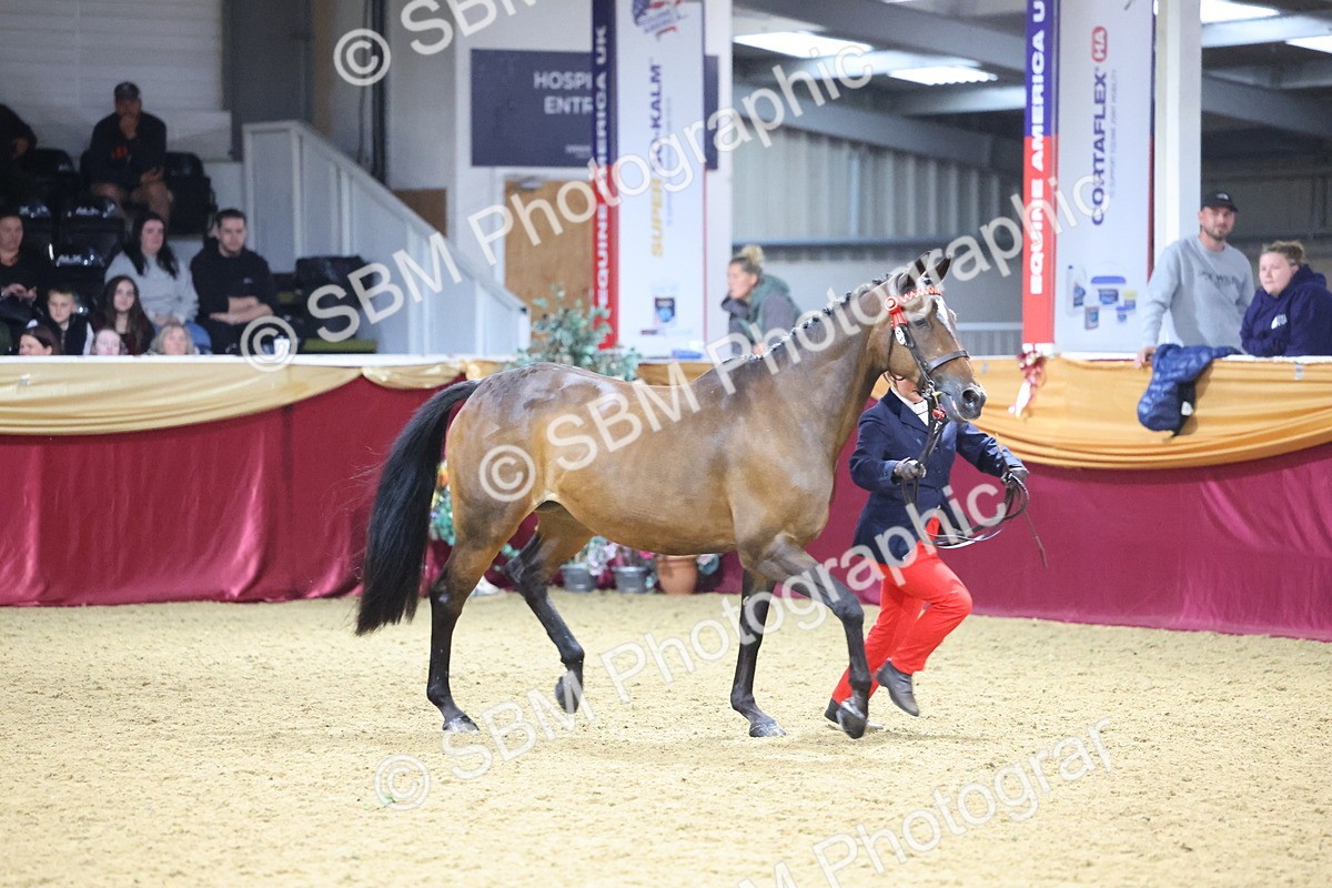 SBM_18928 - Class F Grass Roots Champ