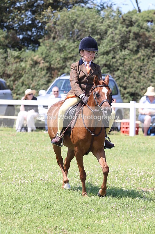 JPP_2355 - Class 20: Tiny Tots Working Hunter Pony