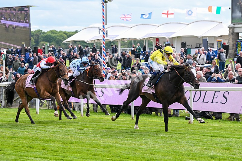 150526-Race 5-Rahiebb-8125 - Race 5 4.05pm Boodles Yorkshire Cup Stakes