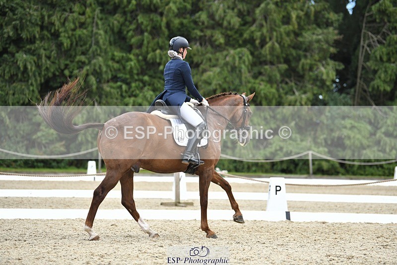 230812-141129-04628 - Cls 7 FEI PSG Bronze