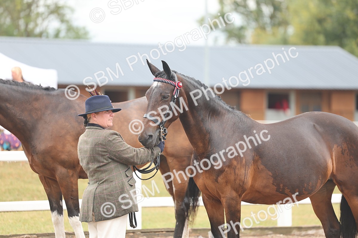 SBM_07785 - Class 27 - IH Competition Horse/Pony