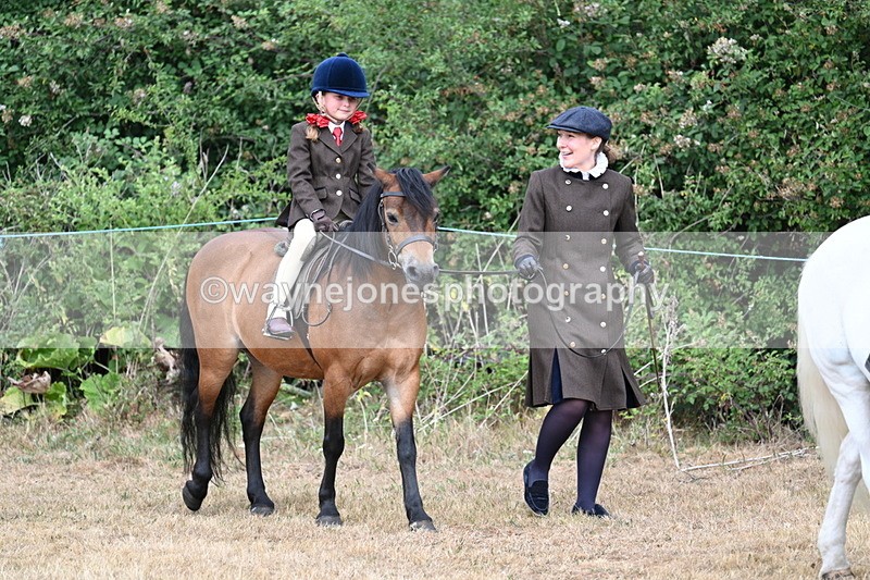 WJ7_6754 - Class 1 Lead Rein Pony
