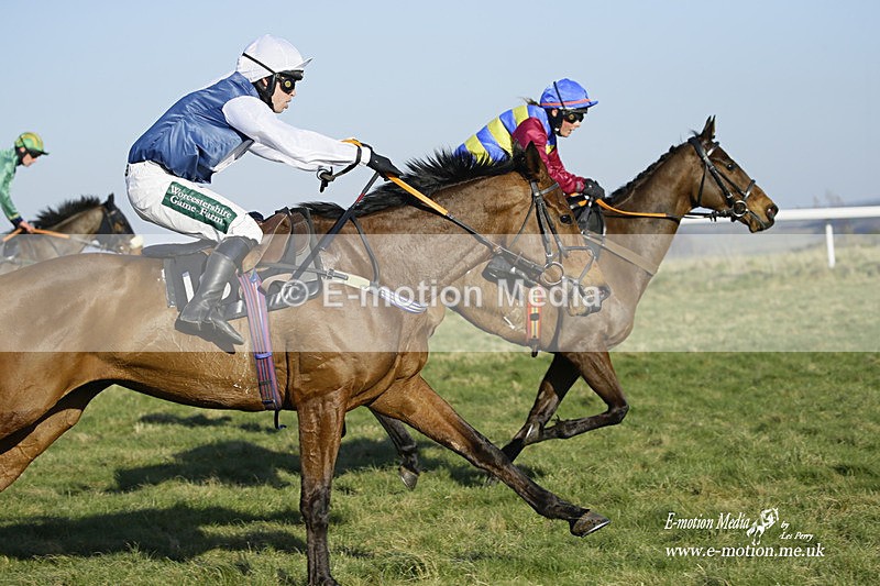 PtP 270222 392 - South & West Wilts Point-to-Point Larkhill 27/02/22