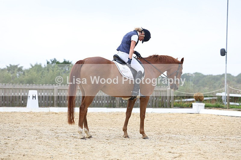 3E7A7243 - Class 9: Elementary 4 2024 - No sections