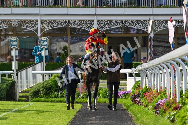 170524-Race 7-Jubilee Walk-8783 - Race 7 5.20pm Irish Thoroughbred Marketing Handicap