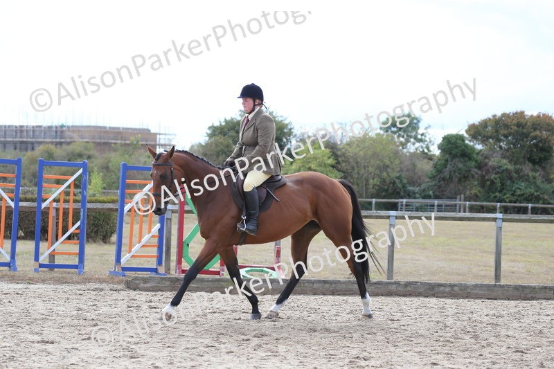 20260831-2650 - Class 15 - Ridden Retraining of Racehorses