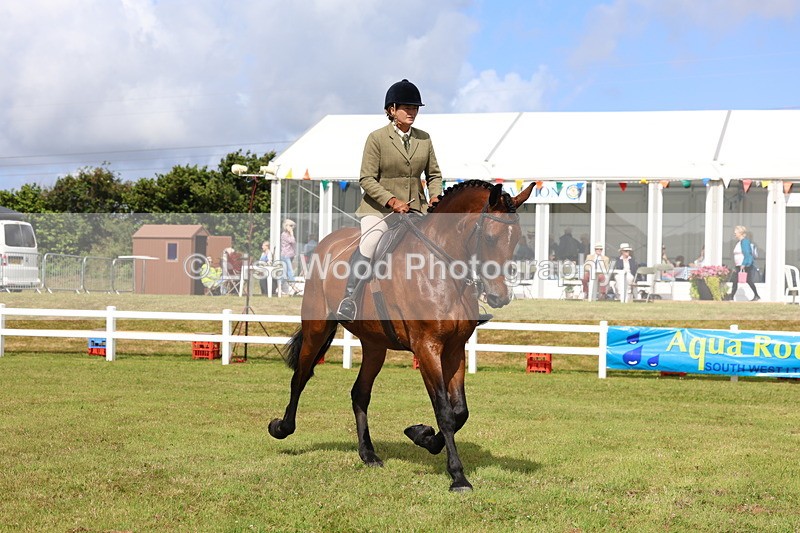 3E7A9392 - Class 4: Rising Star M/H Hunter