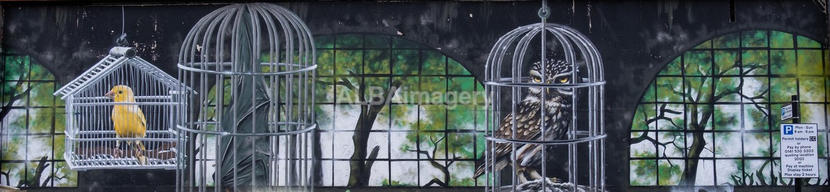 Glasgow Mural Trail - Mural Trail Images