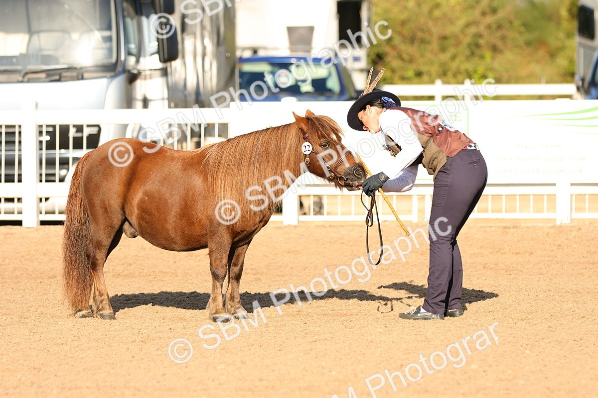 SBM_07994 - Class 201 - Best Turned Out - IH