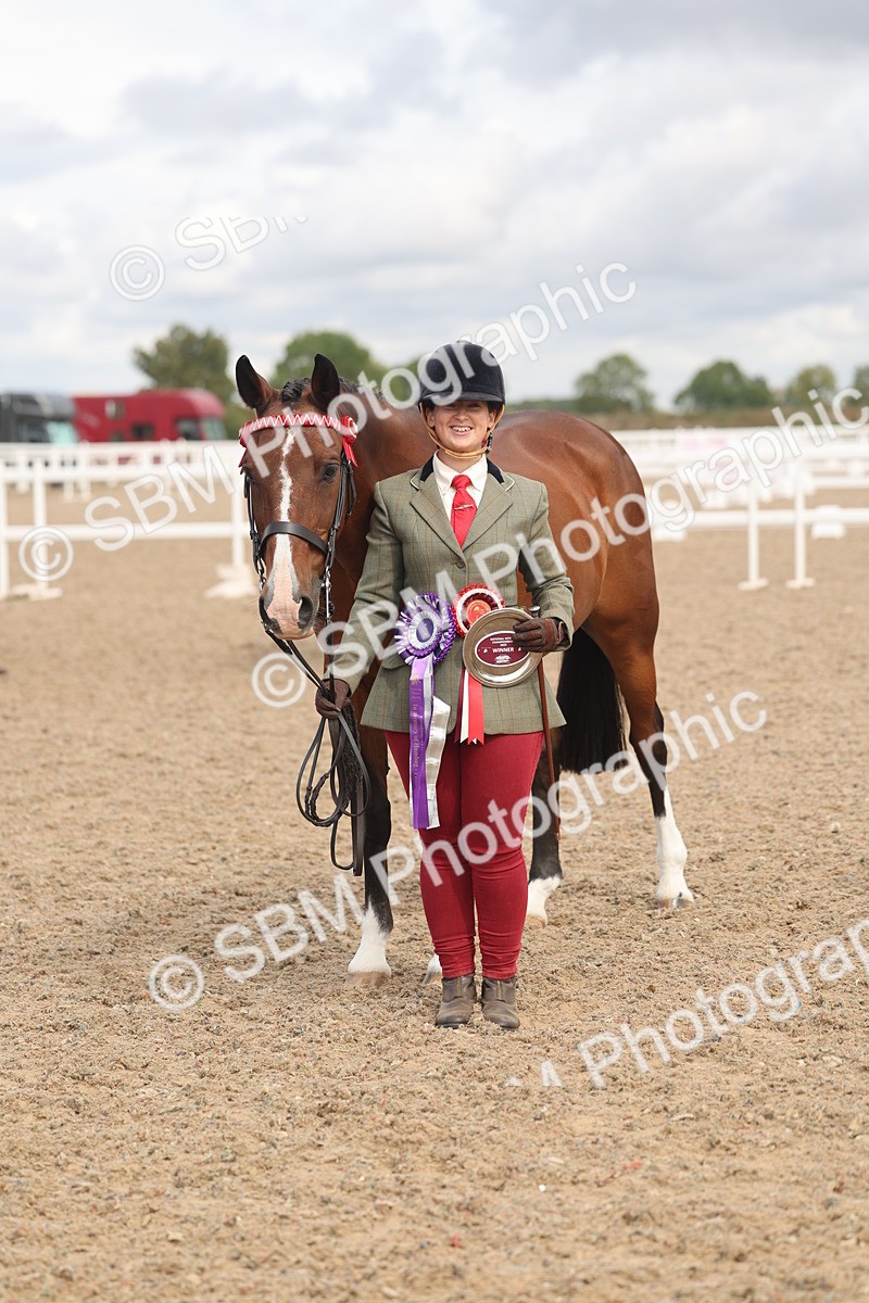 SBM_04492 - Class 18 - Handsomest Gelding (IH or Ridden)