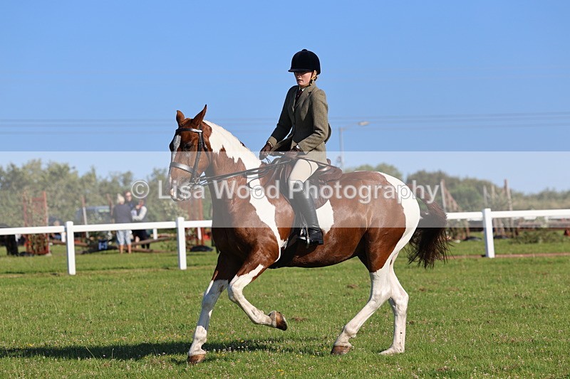 IMG_1270 - Class 27: Ridden Plaited Coloured Horse