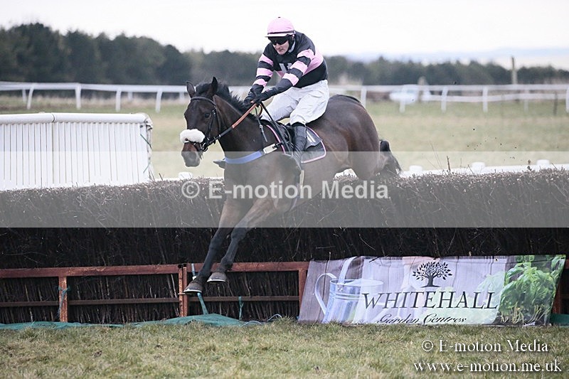 PtP 180218 871 - Combined Services Point-to-Point Larkhill 18/02/18
