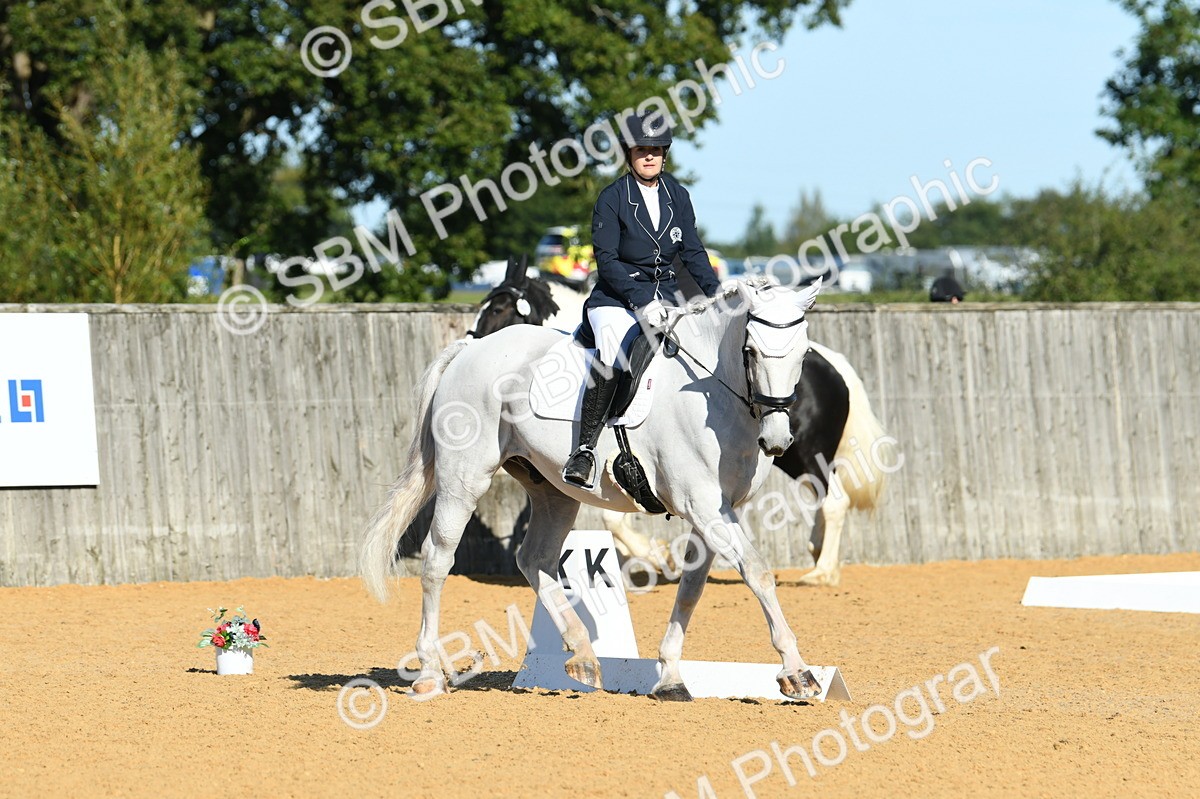 SBM_16256 - D4 - Small Tour Championship - Intro B