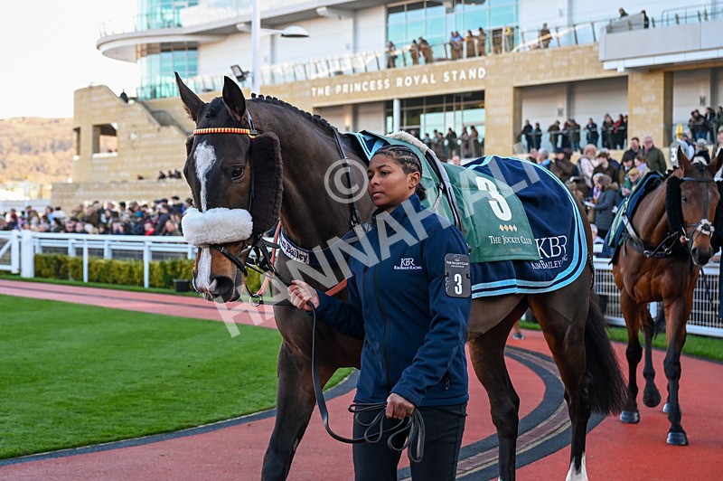 141224-Race 2-Destroytheevidence-0373 - Race 2