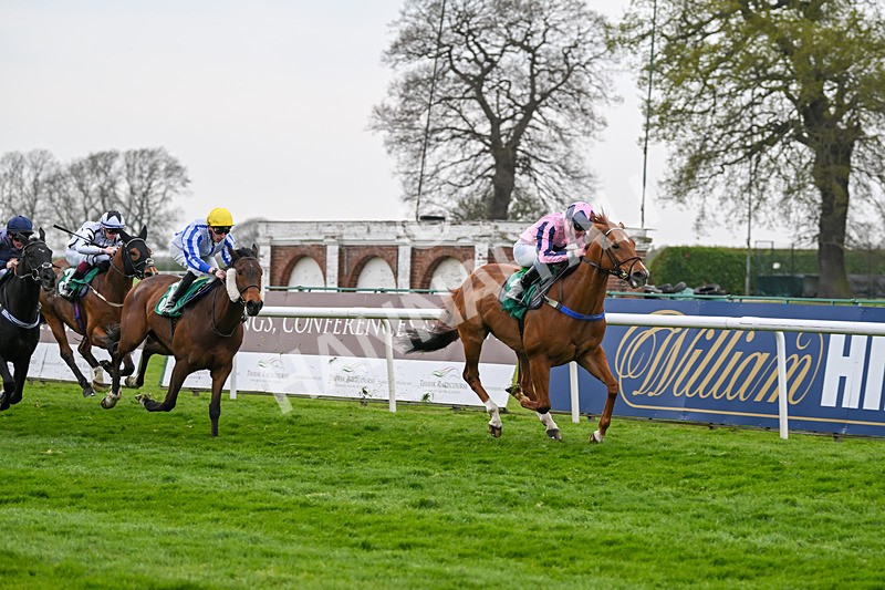 120425-Race 4-Alzahir-1159 - Race 4