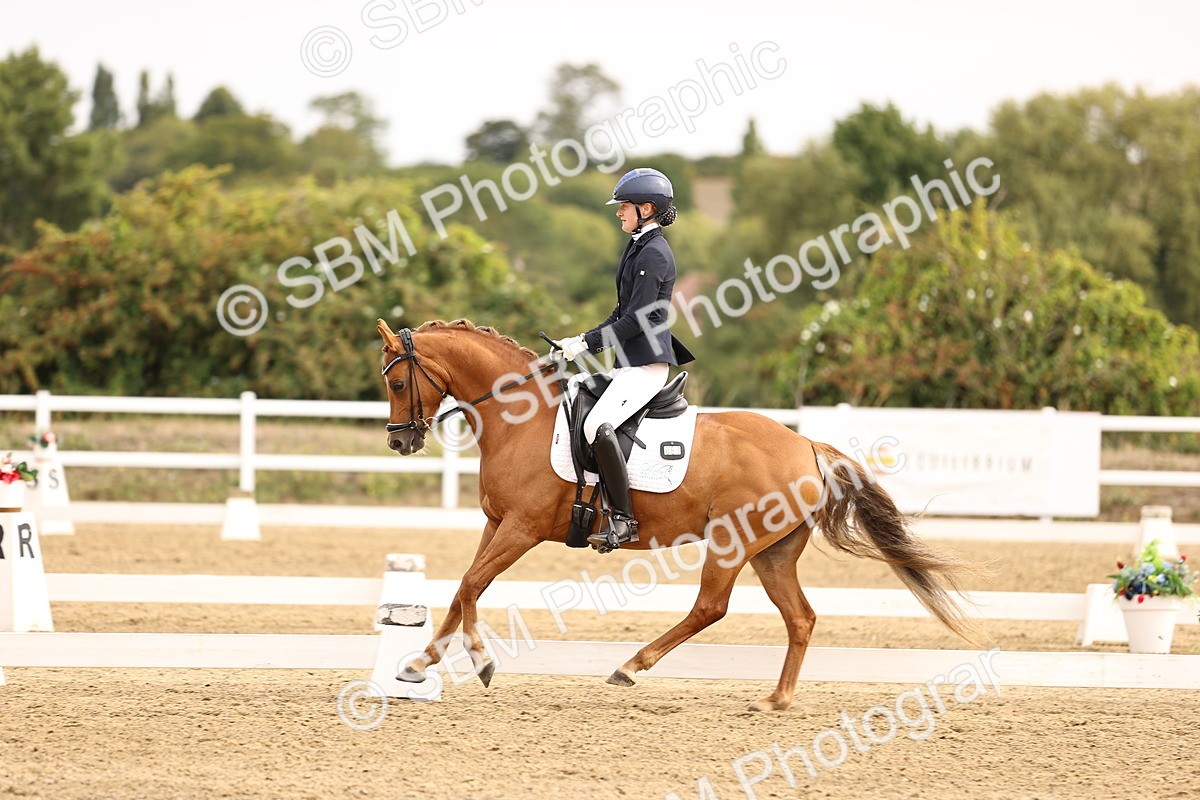 SBM_011695 - Class 1 - Medium 5