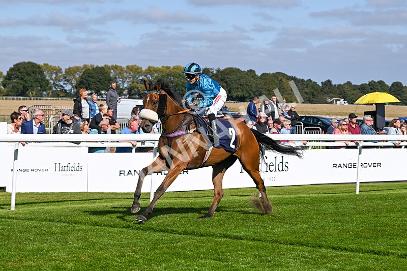 180924-Race 1-Tees George-3720 - Race 1