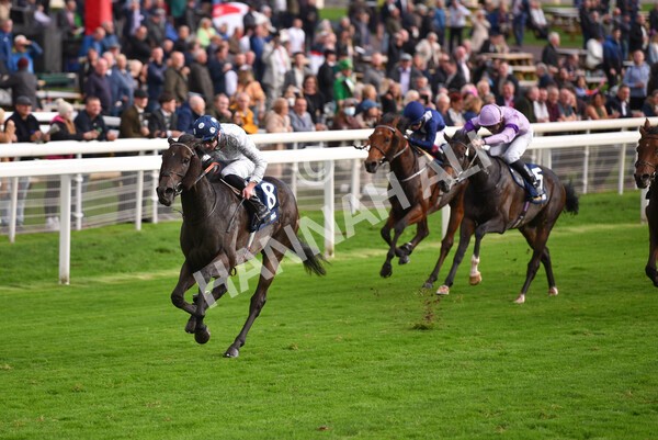 yr07102022r4-33 - Race 4 3.50pm William Hill Best Odds Guaranteed Stakes