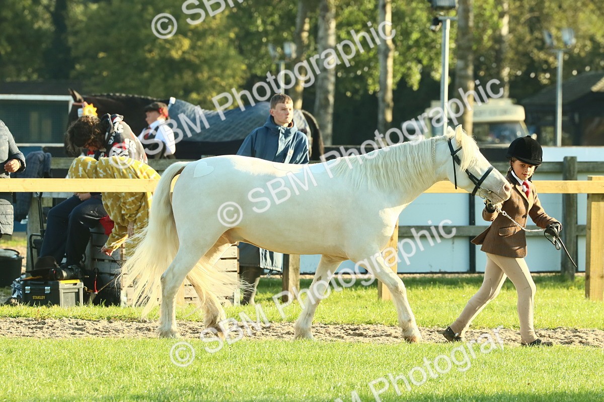 SBM_57369 - S37 - Starters In Hand Showing