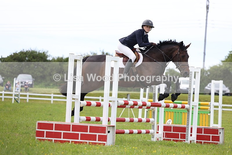 3E7A1799 - Class 13: Senior British Novice/90cm open