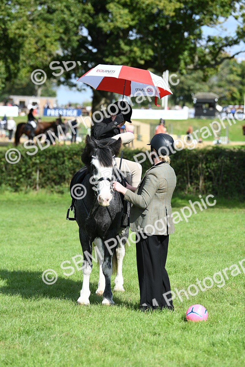 SBM_47093 - S12 - Family Horse & Pony