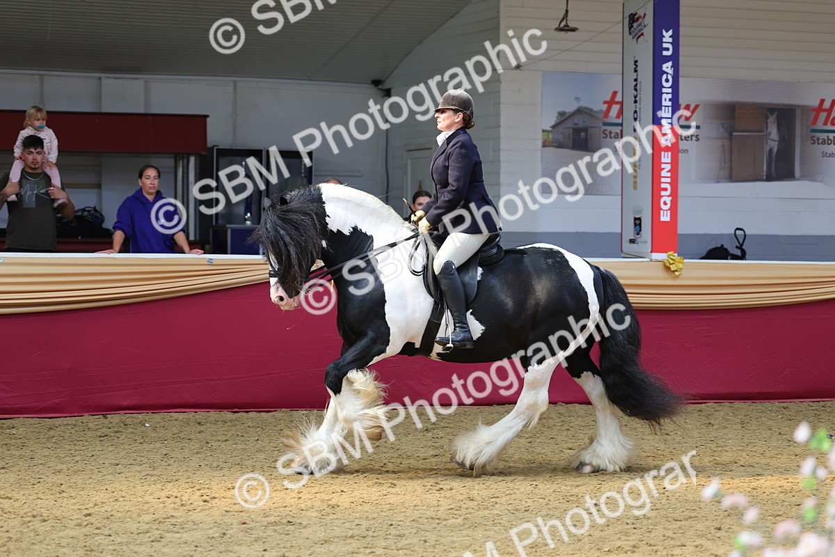 SBM_24116 - Class 905 - Supreme Final - Ridden Veteran