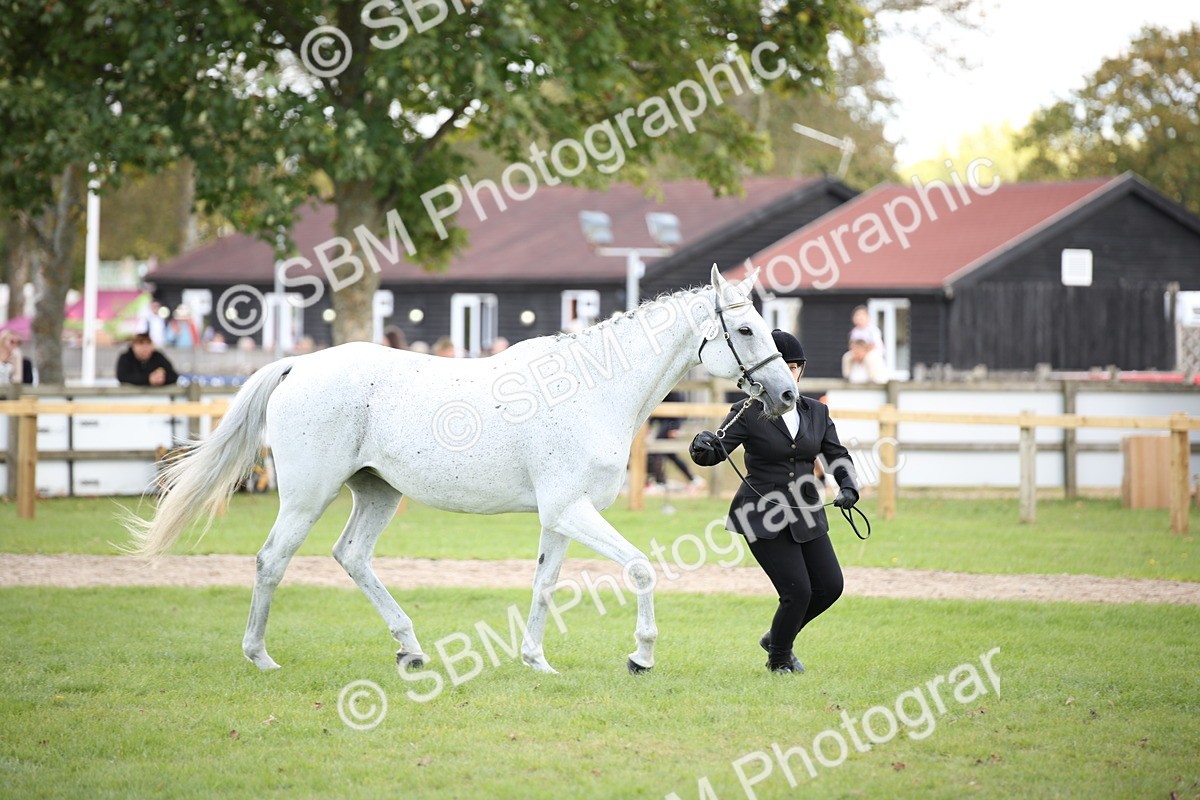 SBM_44424 - S24 - Young Veteran in hand