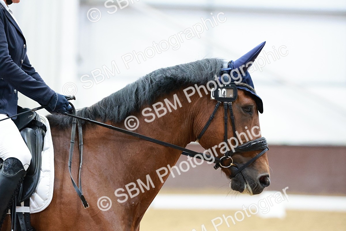 SBM_003900 - Class 11-8 - PYO- Novice 4