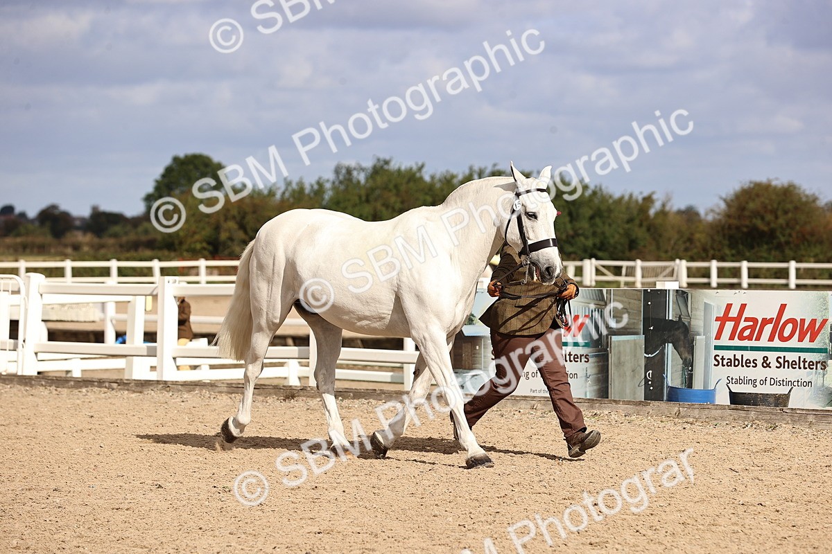 SBM_10363 - Class 405 - IH Show Cob