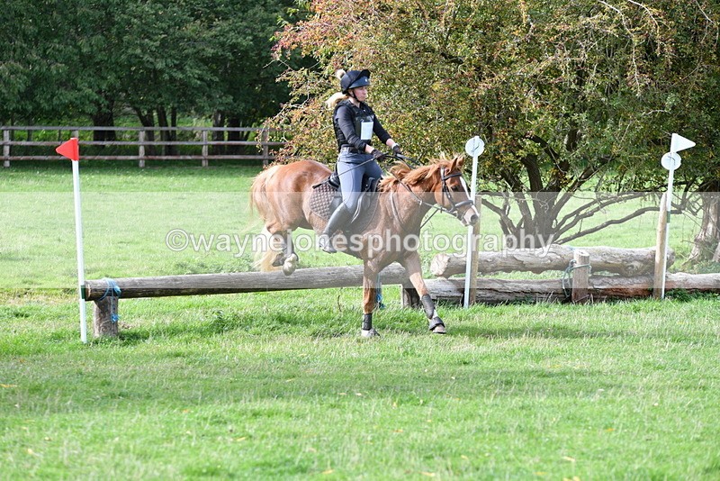 WJ5_0119 - Time 13:25 to 13:58