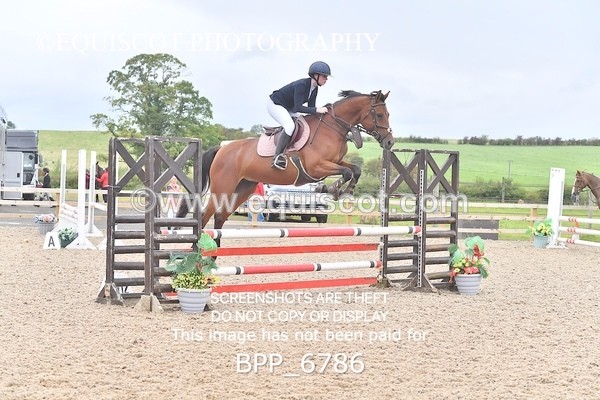 BPP_6786 - CLASS 1 Club/ Unaffiliated 80cms Open