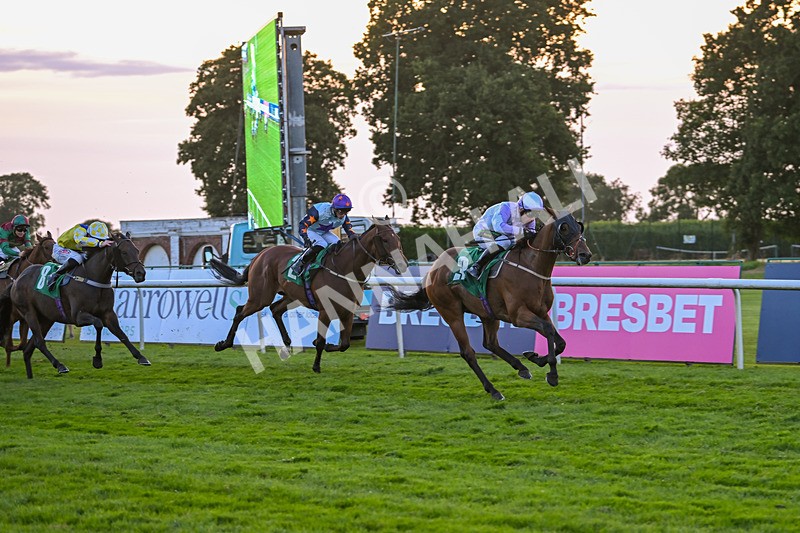 160824-Race 7-Utilis-9945 - Race 7