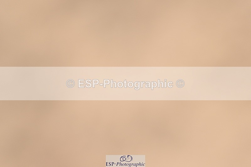 240509A-112719-01167 - Cls 9 Snr 1.20m Open