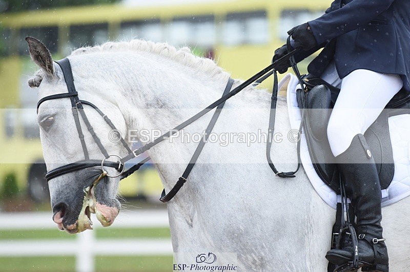 230708A-123758-01758 - Prelim 7