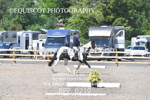 BPP_0210 - SHORT ARENA  MY QUEST PRELIM