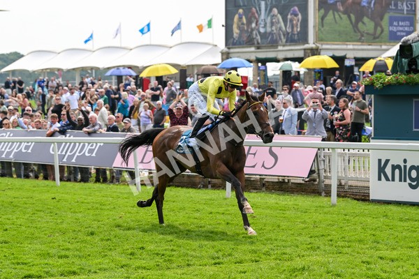 170524-Race 2-Botanical-7684 - Race 2 2.45pm Knights Solicitors Handicap