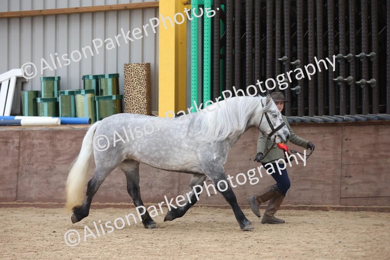 20251109-1122 - Championship