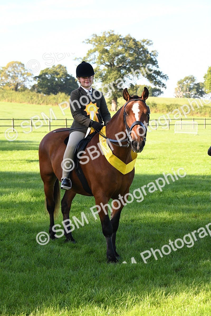 SBM_34100 - S16 - Condition & Turnout - Ridden