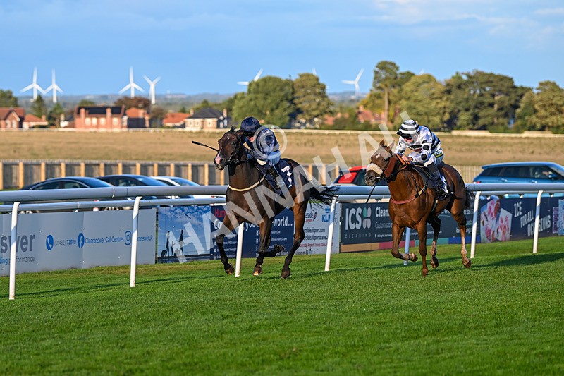 240924-Race 8-Claxton Bay-7145 - Race 8