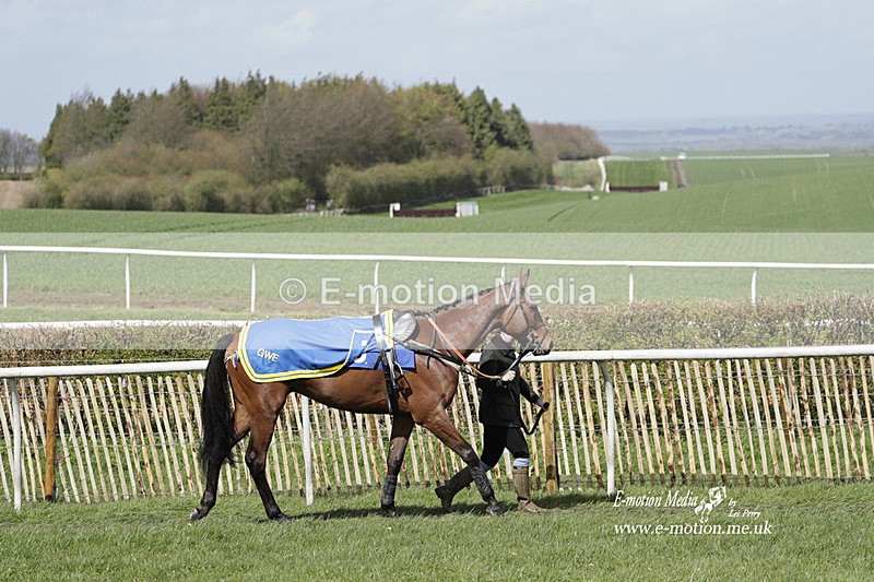 PtP 100423 454 - Old Berkshire Point-to-Point Lockinge 10/04/23