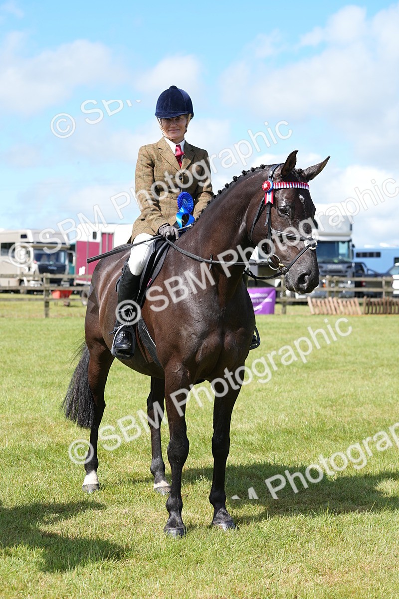 SBM_12974 - Class 99 - RIHS SEIB Working Show Horse