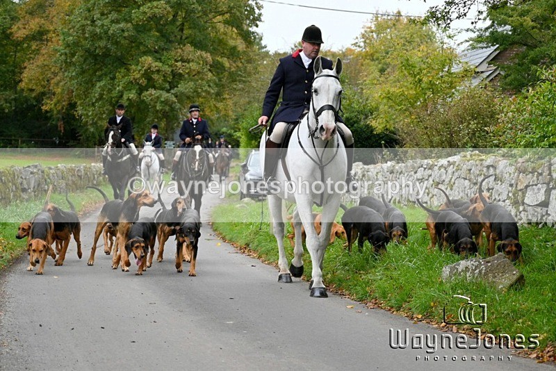 WJ7_3116 - Edited examples