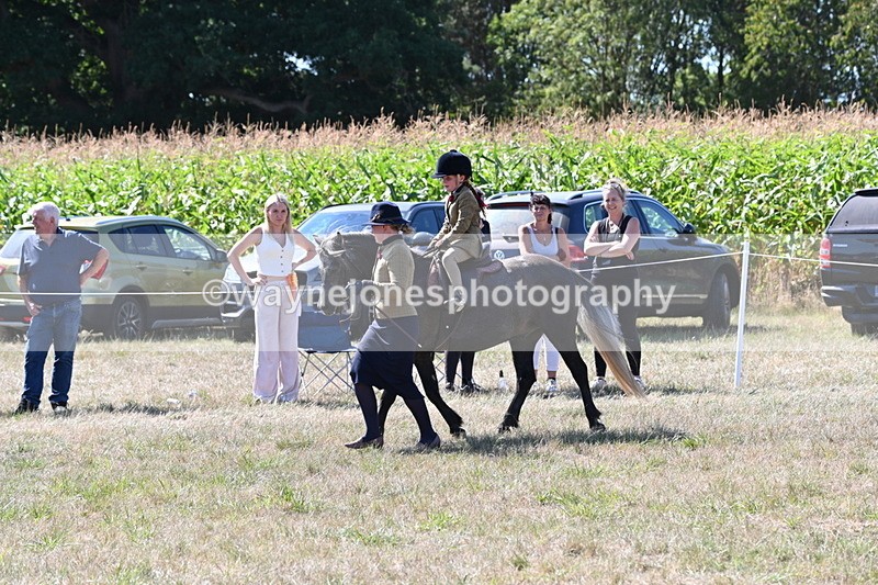 WJ6_7977 - Class 36 Lead Rein