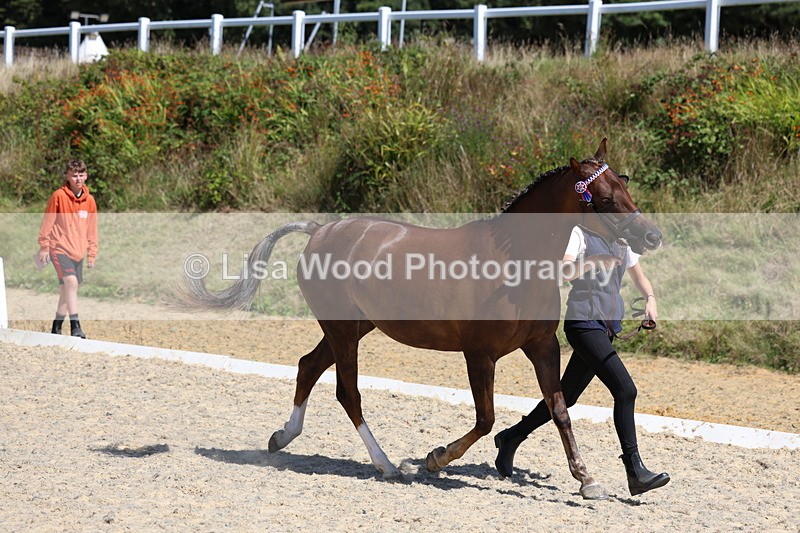 3E7A9585 - Class 32: Best Grass Kept