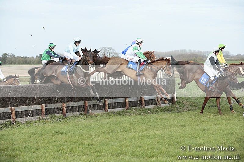PtP 230319 432 - VWH Hunt Siddington Point-to-Point Racing 23/03/19