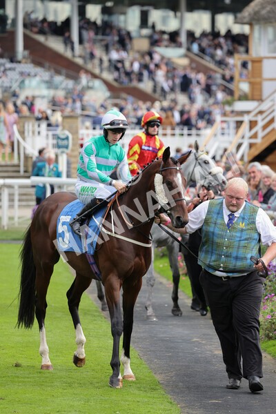 yr24092021r5-10 - Race 5 3.50pm William Hill Leading On Course Bookmaker Stakes