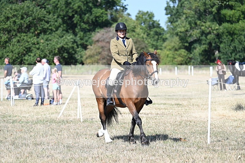 WJ7_3516 - Class 9 Mountain & Moorland Ridden