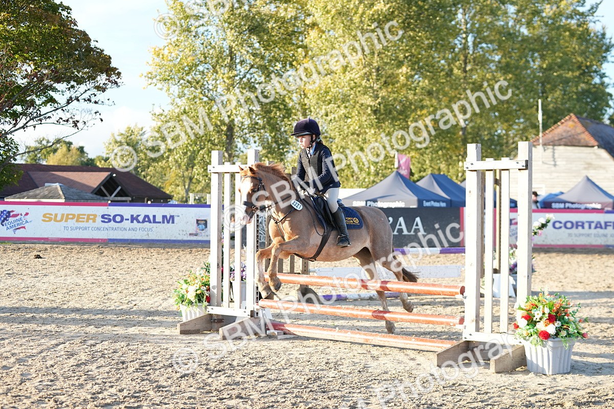 SBM_54094 - Supreme Championship 60cm 65cm